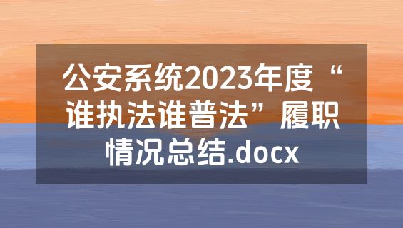 公安系统2023年度“谁执法谁普法”履职情况总结.docx