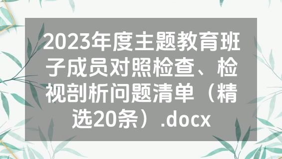 2023年度主题教育班子成员对照检查、检视剖析问题清单（精选20条）.docx