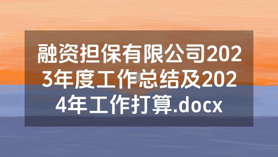 融资担保有限公司2023年度工作总结及2024年工作打算.docx