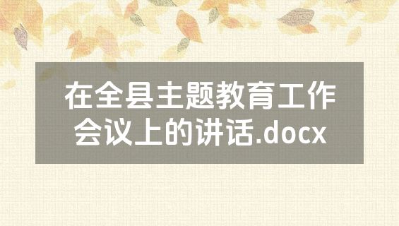 在全县主题教育工作会议上的讲话.docx