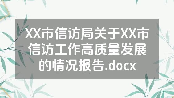 XX市信访局关于XX市信访工作高质量发展的情况报告.docx