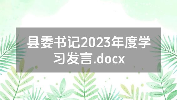 县委书记2023年度学习发言.docx