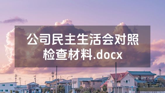 公司民主生活会对照检查材料.docx