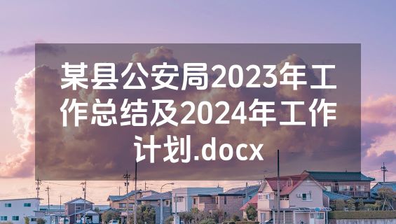 某县公安局2023年工作总结及2024年工作计划.docx