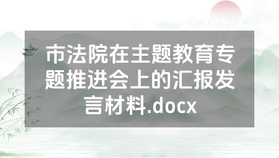 市法院在主题教育专题推进会上的汇报发言材料.docx