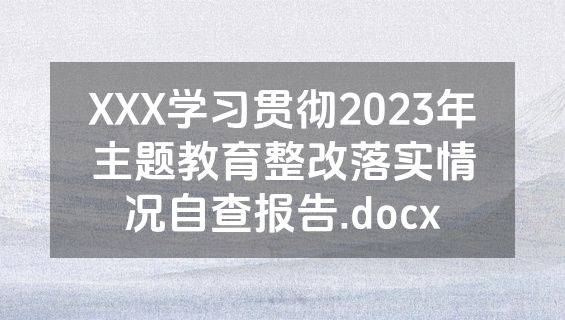 XXX学习贯彻2023年主题教育整改落实情况自查报告.docx