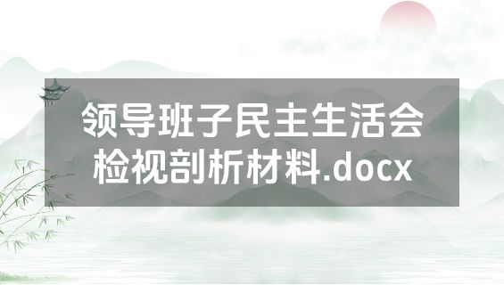 领导班子民主生活会检视剖析材料.docx