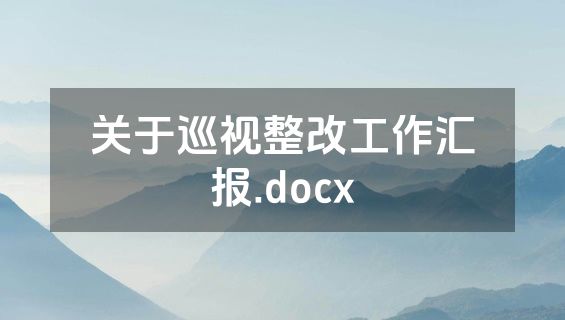 关于巡视整改工作汇报.docx