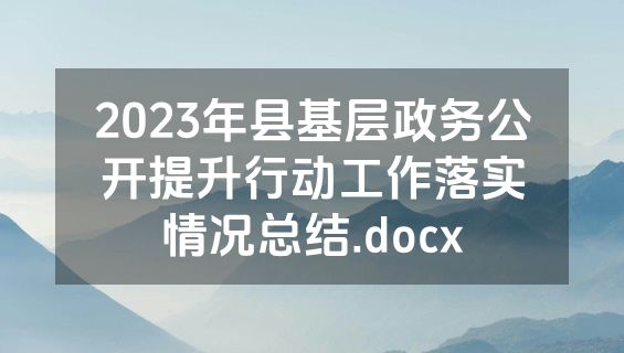 2023年县基层政务公开提升行动工作落实情况总结.docx