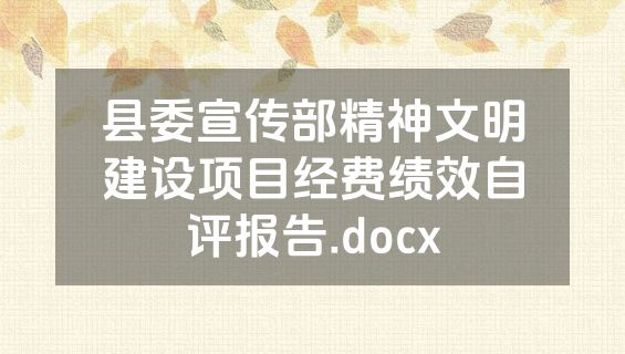 县委宣传部精神文明建设项目经费绩效自评报告.docx