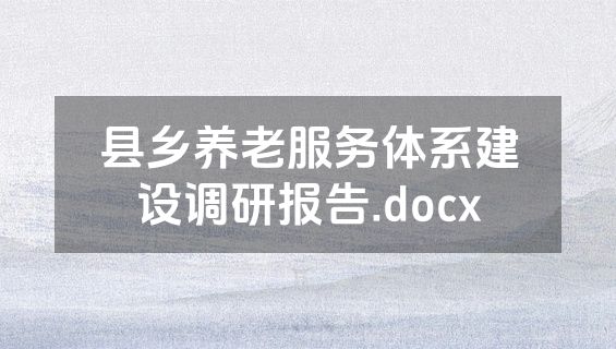 县乡养老服务体系建设调研报告.docx