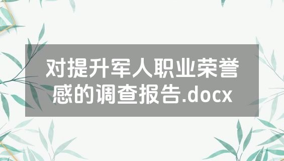 对提升军人职业荣誉感的调查报告.docx
