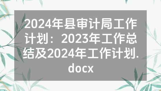 2024年县审计局工作计划：2023年工作总结及2024年工作计划.docx