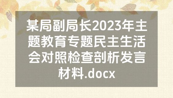 某局副局长2023年主题教育专题民主生活会对照检查剖析发言材料.docx