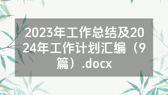 2023年工作总结及2024年工作计划汇编（9篇）.docx