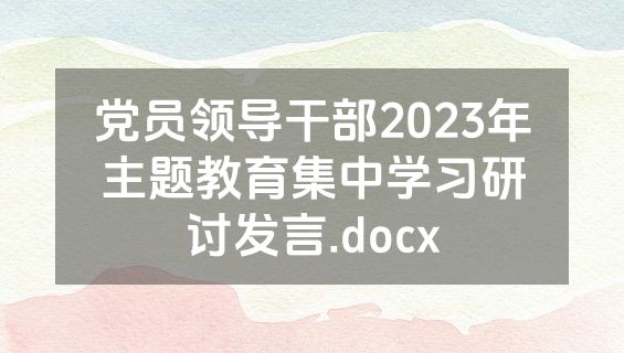 党员领导干部2023年主题教育集中学习研讨发言.docx