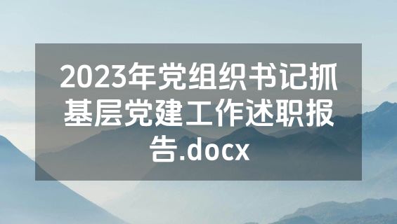 2023年党组织书记抓基层党建工作述职报告.docx