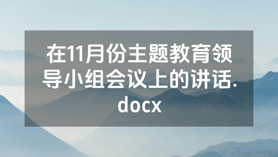 在11月份主题教育领导小组会议上的讲话.docx