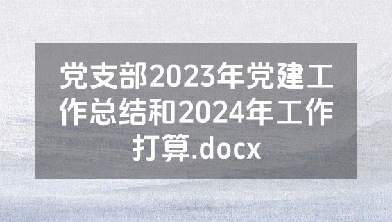 党支部2023年党建工作总结和2024年工作打算.docx