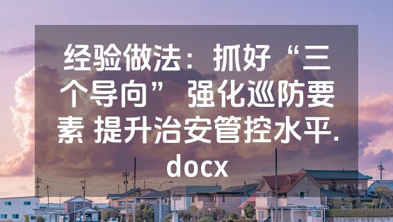 经验做法：抓好“三个导向” 强化巡防要素 提升治安管控水平.docx