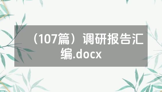（107篇）调研报告汇编.docx