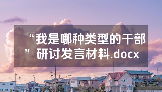 “我是哪种类型的干部”研讨发言材料.docx