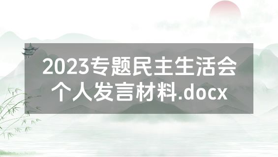 2023专题民主生活会个人发言材料.docx