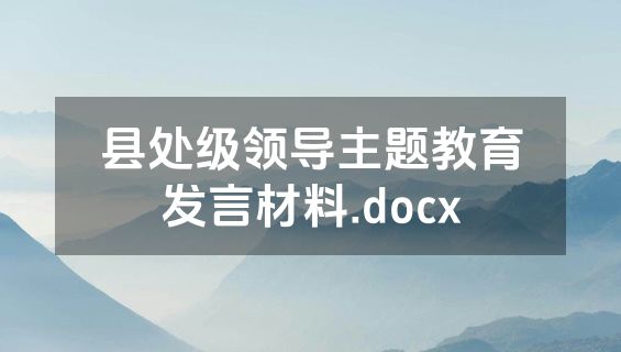 县处级领导主题教育发言材料.docx