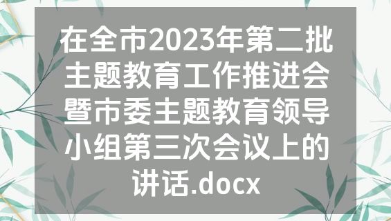 在全市2023年第二批主题教育工作推进会暨市委主题教育领导小组第三次会议上的讲话.docx