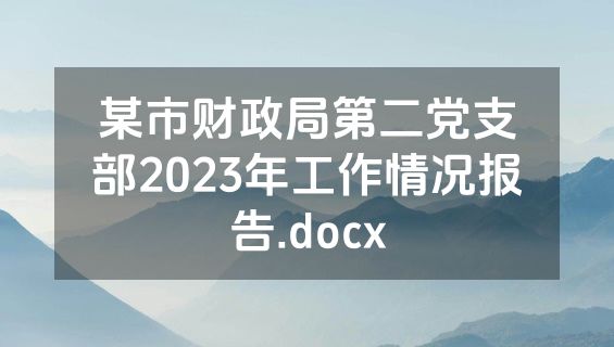 某市财政局第二党支部2023年工作情况报告.docx