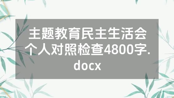 主题教育民主生活会个人对照检查4800字.docx