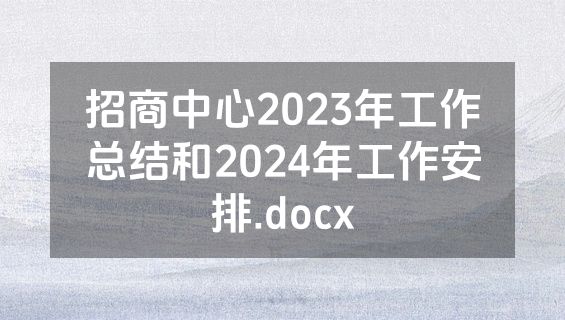 招商中心2023年工作总结和2024年工作安排.docx