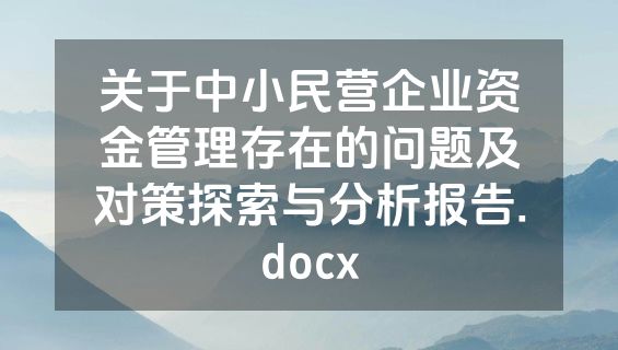 关于中小民营企业资金管理存在的问题及对策探索与分析报告.docx