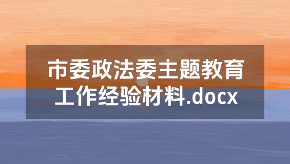 市委政法委主题教育工作经验材料.docx