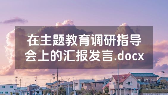 在主题教育调研指导会上的汇报发言.docx