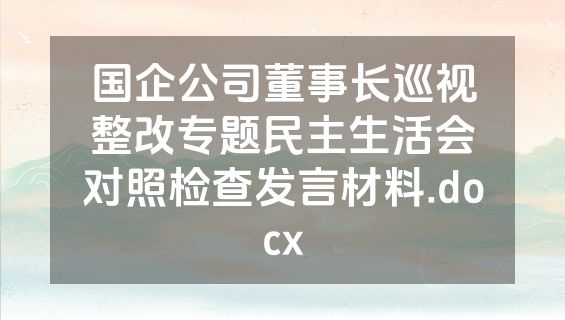 国企公司董事长巡视整改专题民主生活会对照检查发言材料.docx