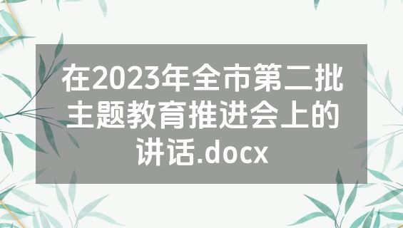 在2023年全市第二批主题教育推进会上的讲话.docx