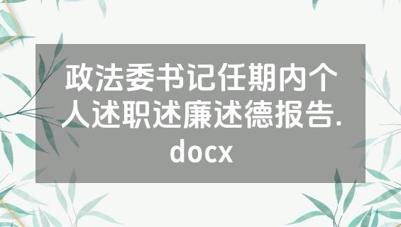 政法委书记任期内个人述职述廉述德报告.docx