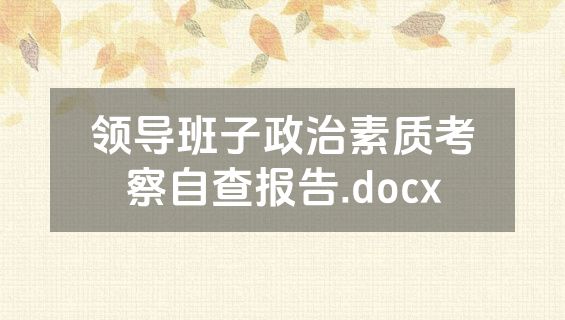 领导班子政治素质考察自查报告.docx