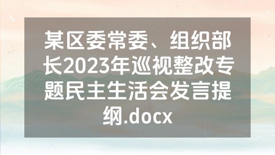 某区委常委、组织部长2023年巡视整改专题民主生活会发言提纲.docx