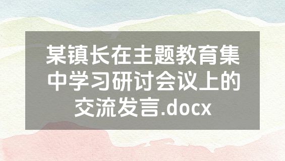 某镇长在主题教育集中学习研讨会议上的交流发言.docx