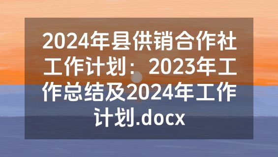 2024年县供销合作社工作计划：2023年工作总结及2024年工作计划.docx