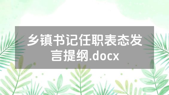 乡镇书记任职表态发言提纲.docx