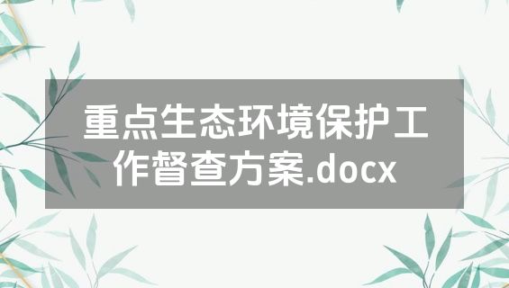 重点生态环境保护工作督查方案.docx