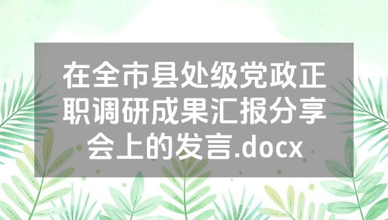 在全市县处级党政正职调研成果汇报分享会上的发言.docx