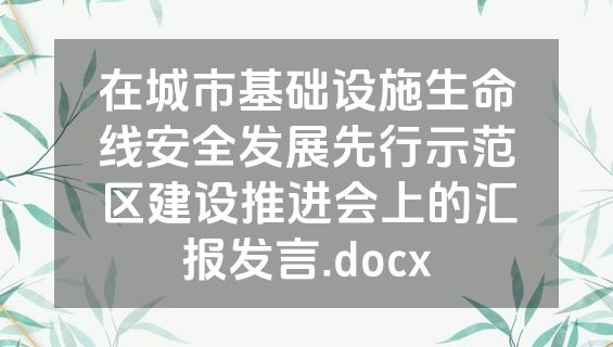 在城市基础设施生命线安全发展先行示范区建设推进会上的汇报发言.docx