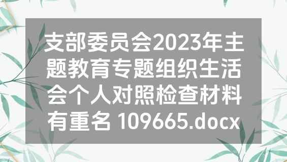 支部委员会2023年主题教育专题组织生活会个人对照检查材料有重名 109665.docx