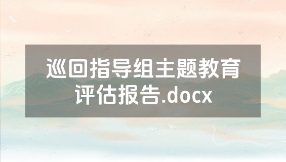 巡回指导组主题教育评估报告.docx