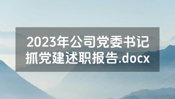 2023年公司党委书记抓党建述职报告.docx