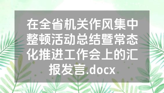在全省机关作风集中整顿活动总结暨常态化推进工作会上的汇报发言.docx